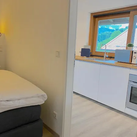 شقة Grosszuegige Am Tegernsee Mit Suedbalkon Und Wallbergblick *